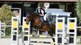 Cours d'équitation